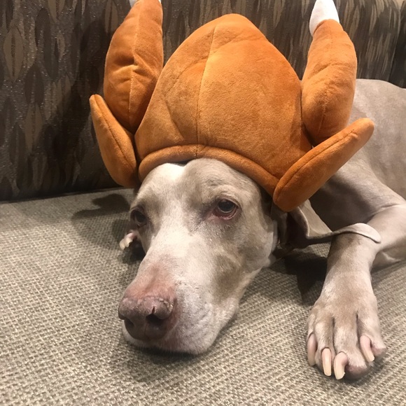 Meet your Posher, Debi - Picture 2 of 4